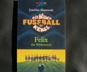 Die Wilden Fußballkerle Felix Wirbelwind